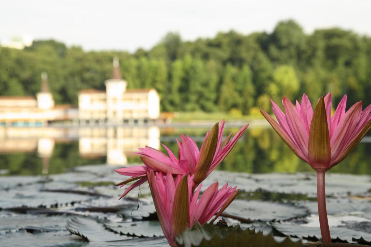 Piroska Villa Hévíz Exteriör bild